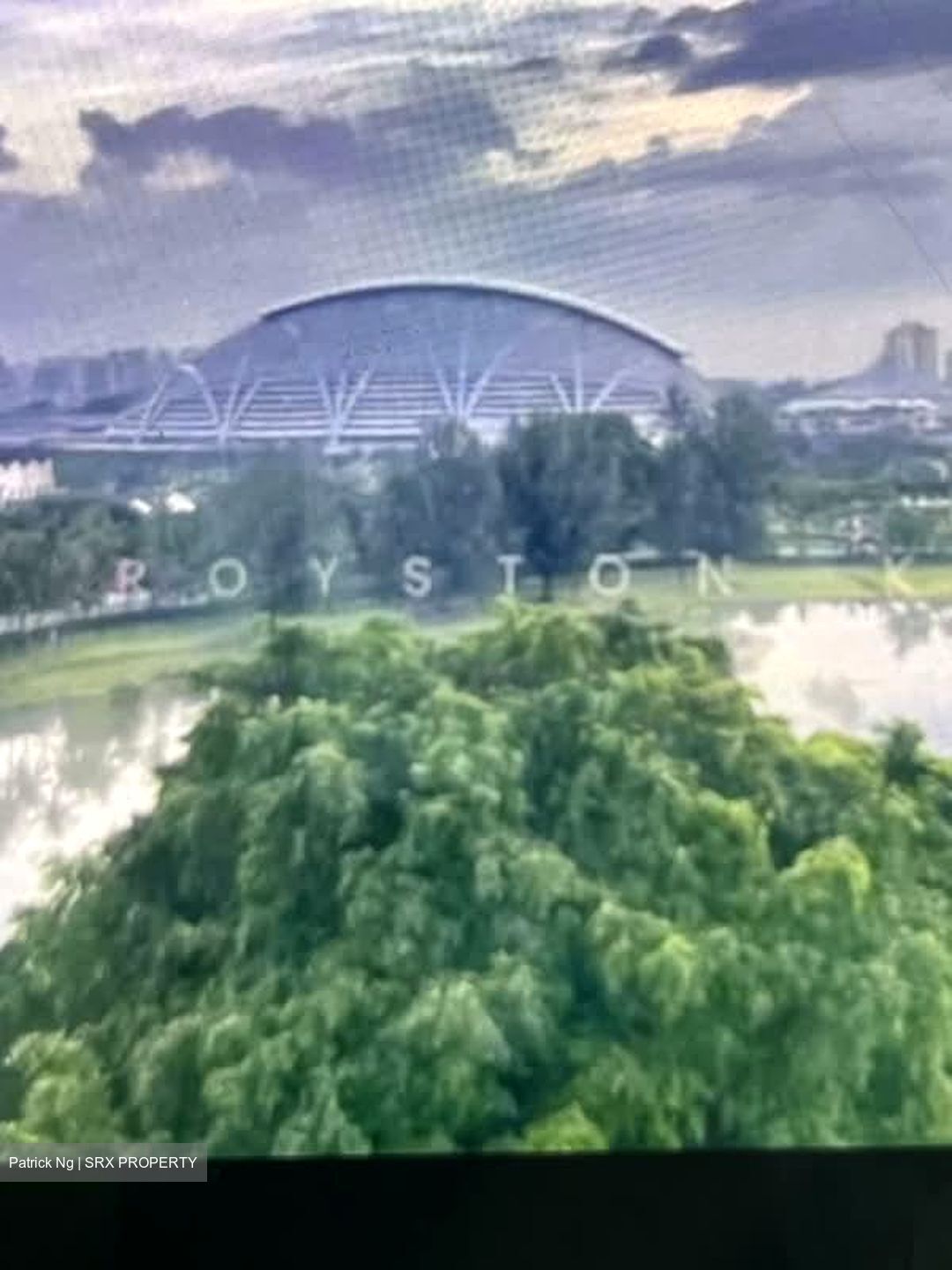 The Riverine By The Park (D12), Apartment #580196691